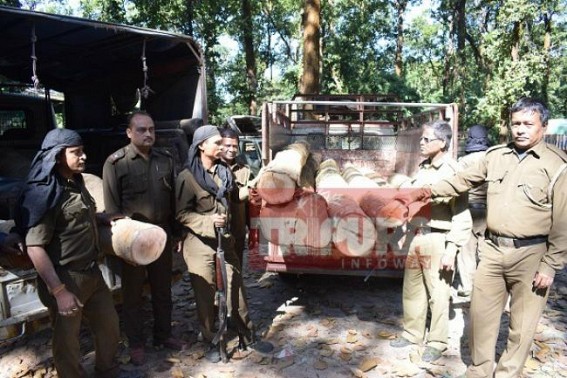 Forest Dept seized woods worth Rs. 2 lakhs Forest Dept seized woods worth Rs. 2 lakhs